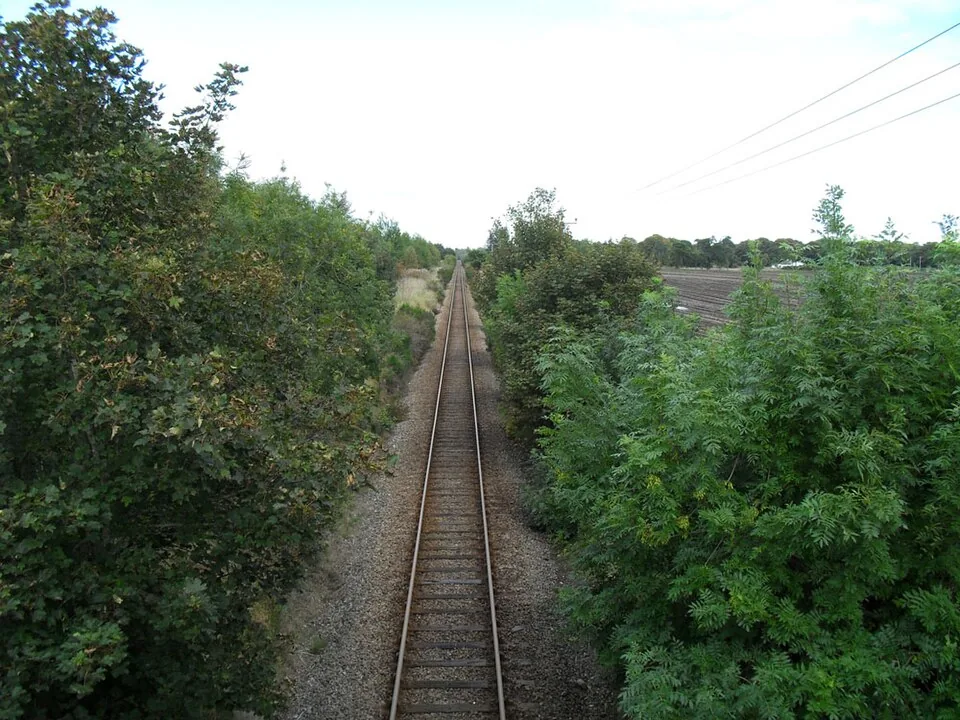 Inverness → Wick via Thurso: Far North Line near Kildary Straight