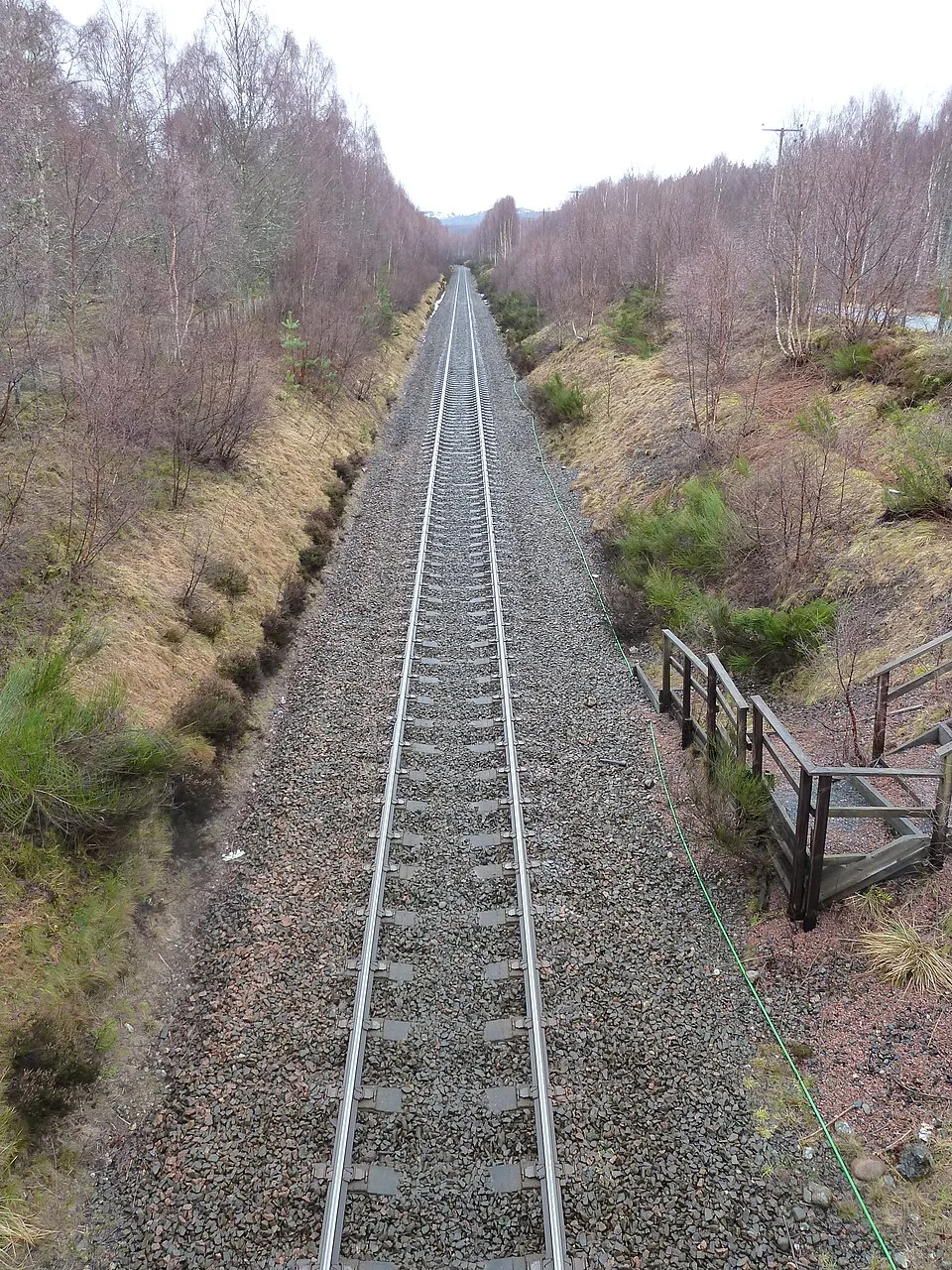 Perth → Inverness: Railway line, looking towards Kincraig