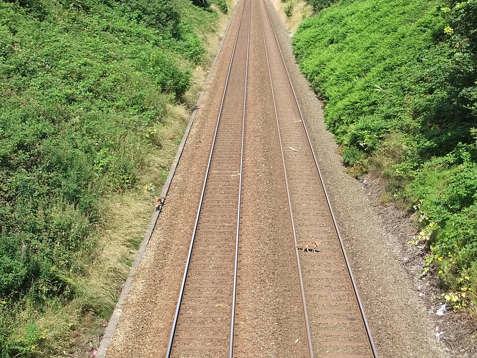 Manchester Piccadilly → Sheffield: The Hope Valley Line passes under Windmill Lane, North Reddish (2)