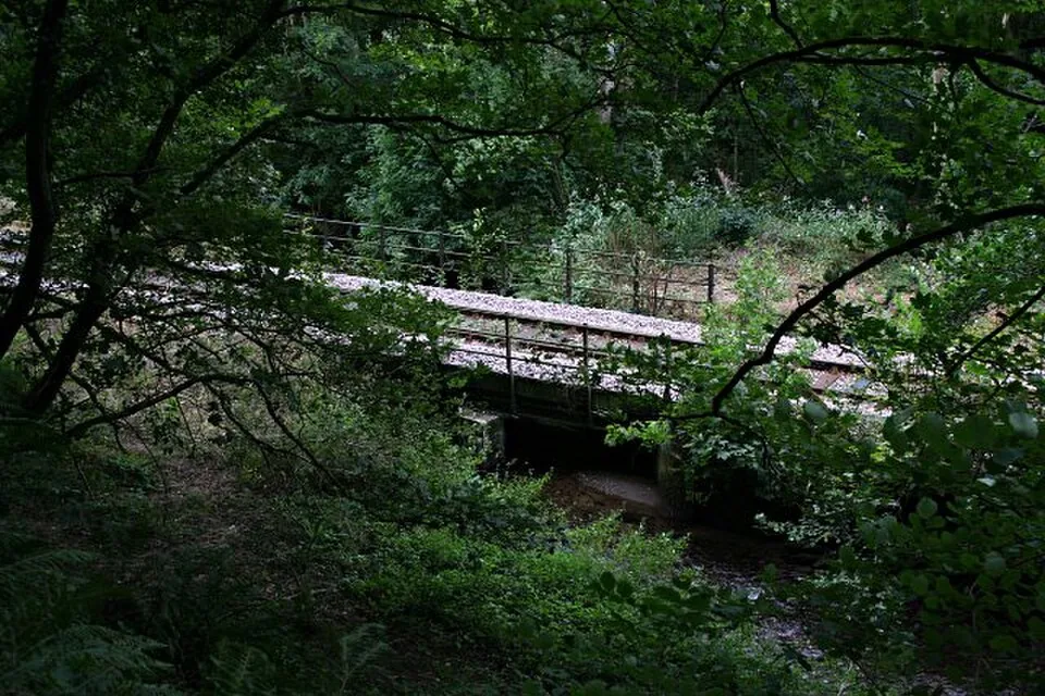 Liskeard → Looe: Stream under Railway Line