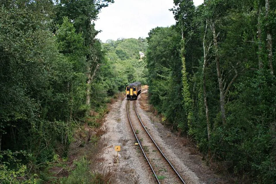 Liskeard → Looe: Train on the Looe Valley Railway Line
