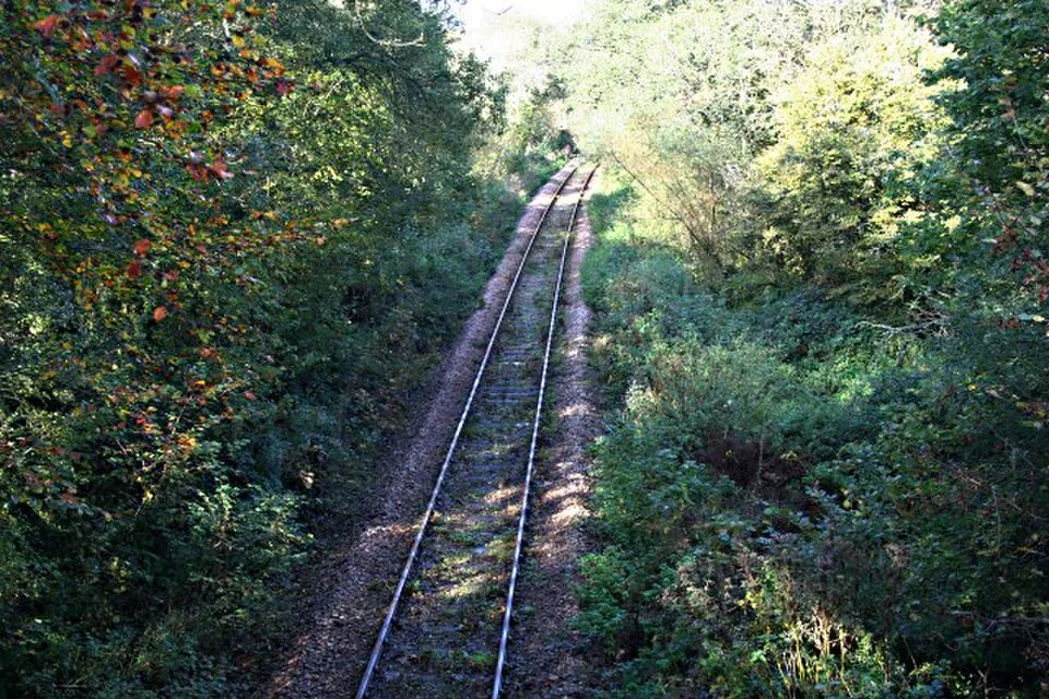 Liskeard → Looe: Looe Valley Railway