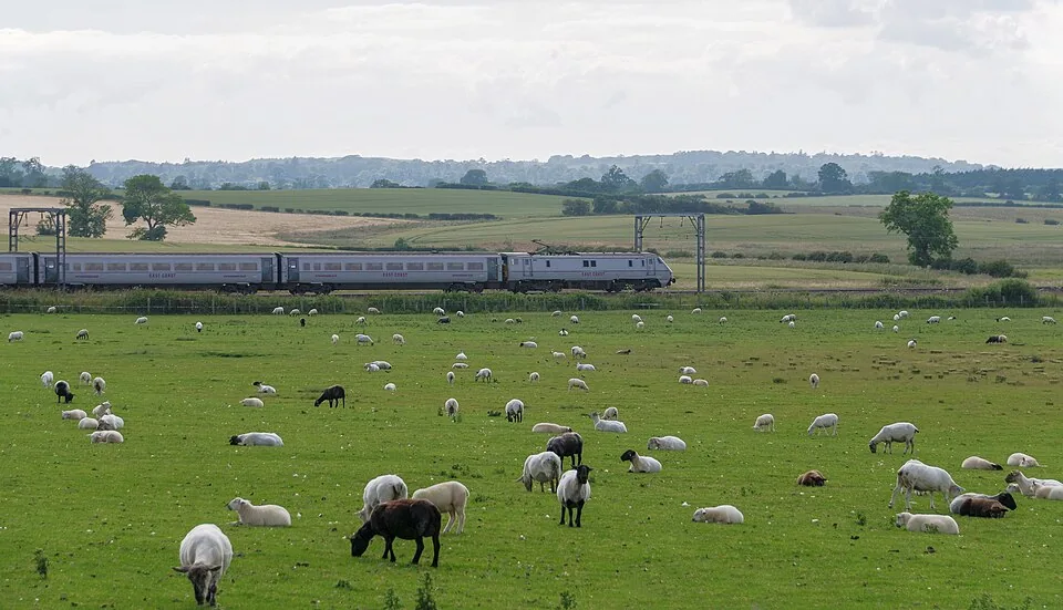 Newcastle → Berwick-upon-Tweed → Edinburgh: Newham MMB 10 East Coast Main Line