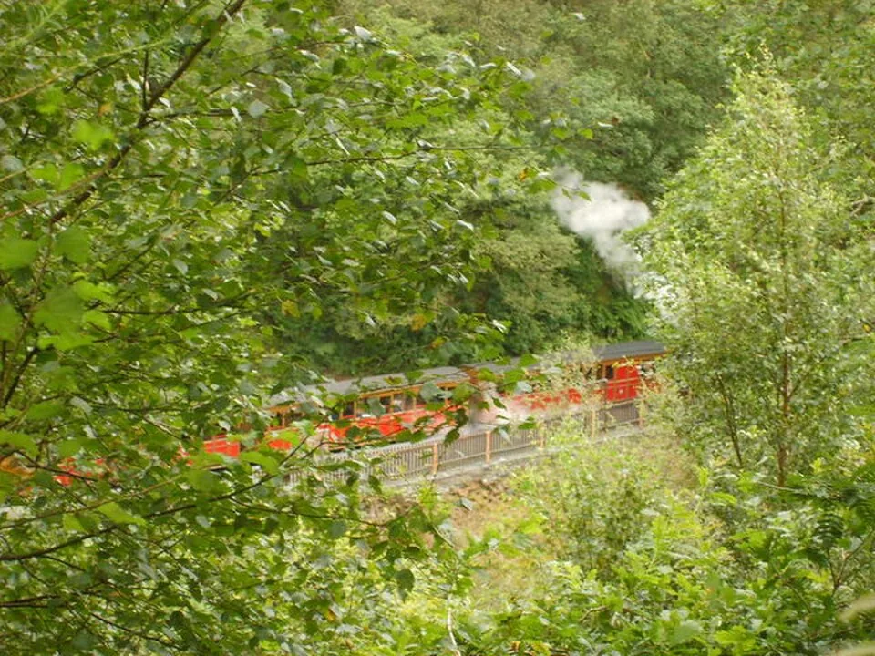 Tywyn Wharf → Abergynolwyn → Nant Gwernol: Nant Gwernol Station
