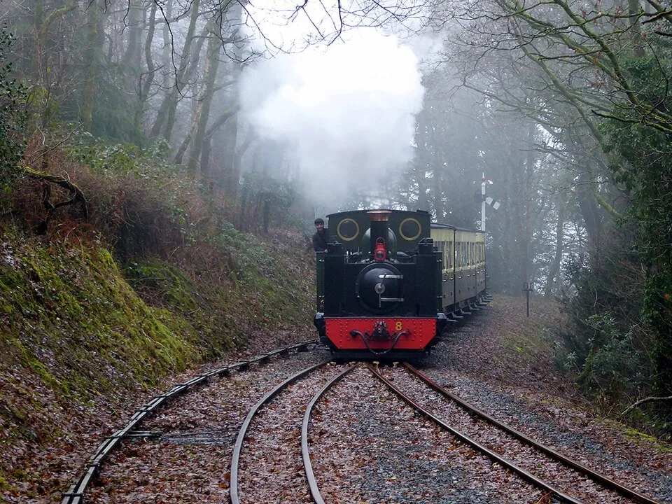 Aberystwyth → Devil’s Bridge: Vale of Rheidol Railway, Aberffrwd (geograph 5676579, high-res)